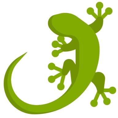 Lizard
