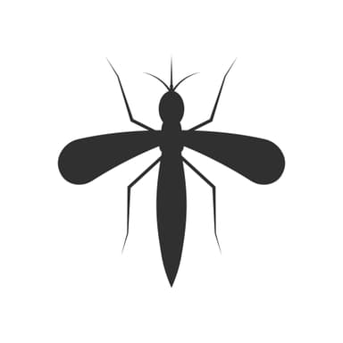 Mosquito