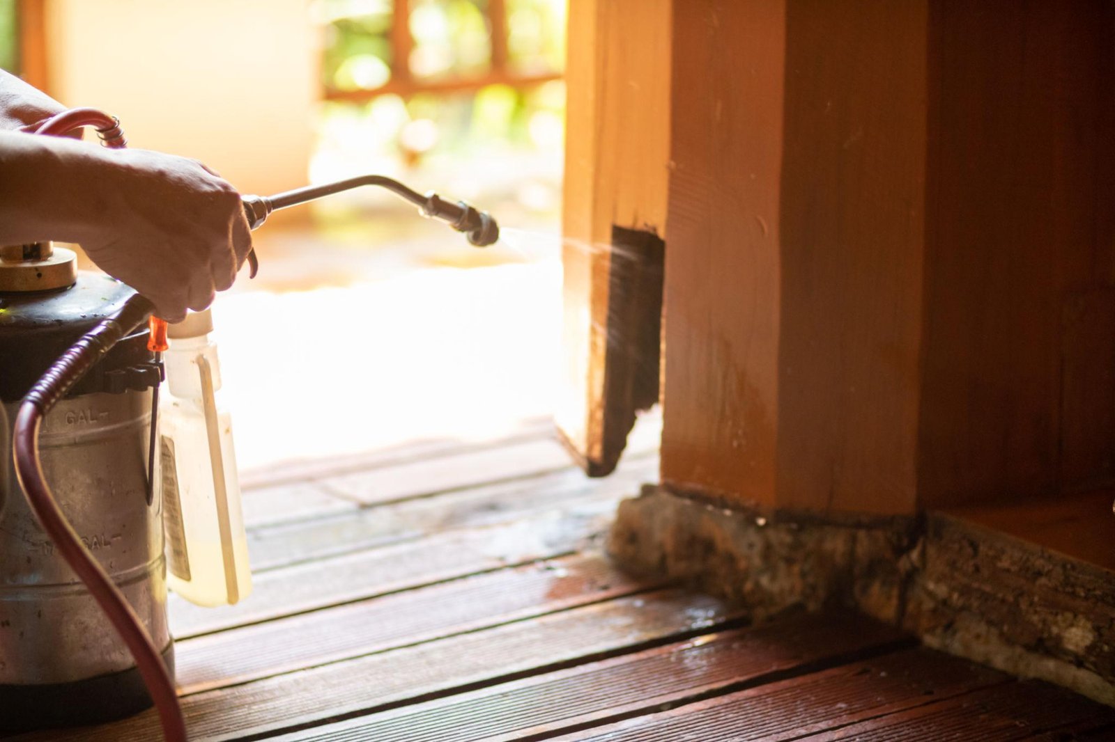 Termite Control